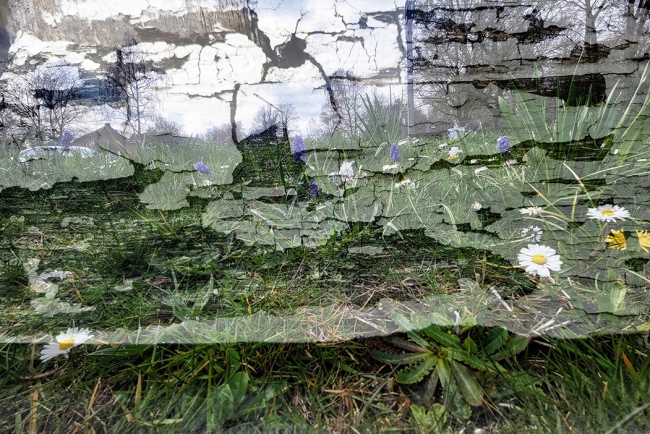 Bloemenverf