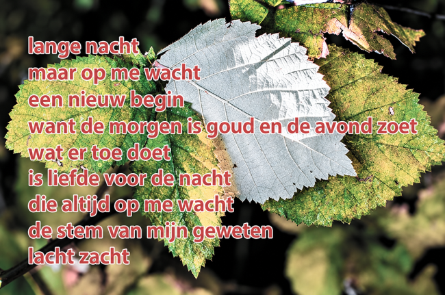 De Nacht Lacht