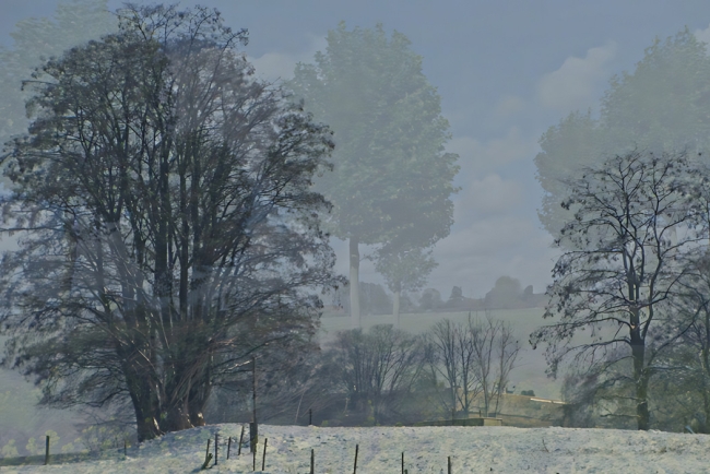 Zomer & Winter